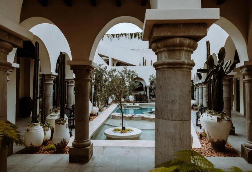 デラックススイート, Amatte San Miguel De Allende