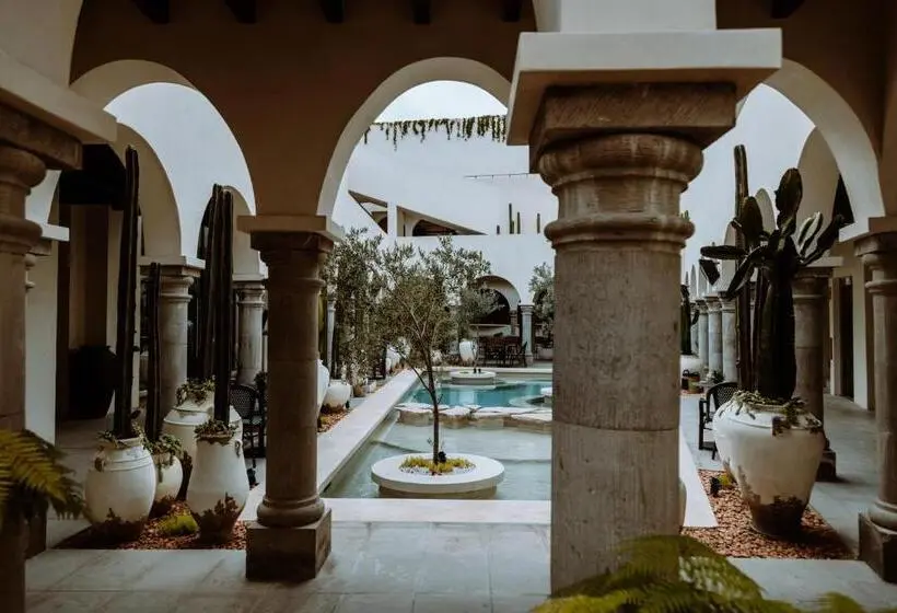 デラックススイート, Amatte San Miguel De Allende