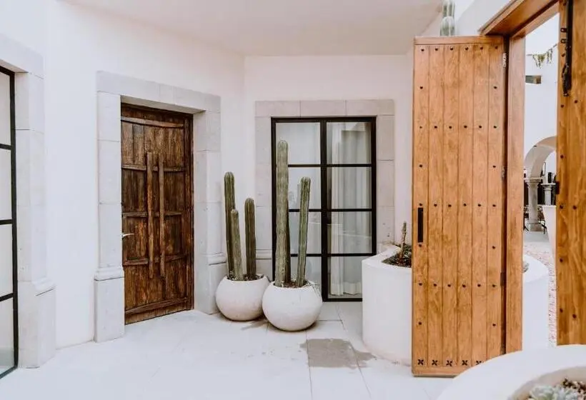 ツーベッドルーム ヴィラ, Amatte San Miguel De Allende