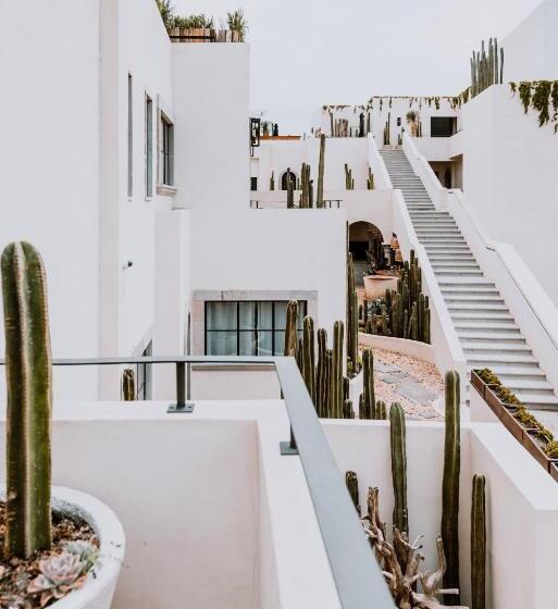 ビラホテル１ベッドルーム, Amatte San Miguel De Allende