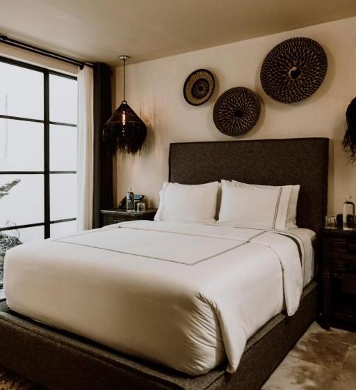 디럭스 주니어 스위트, Amatte San Miguel De Allende