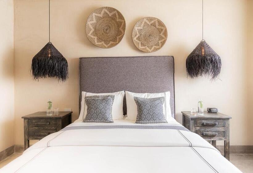 스탠다드 스튜디오, Amatte San Miguel De Allende