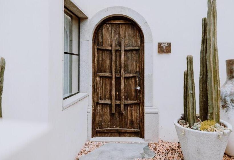 ビラホテル１ベッドルーム, Amatte San Miguel De Allende