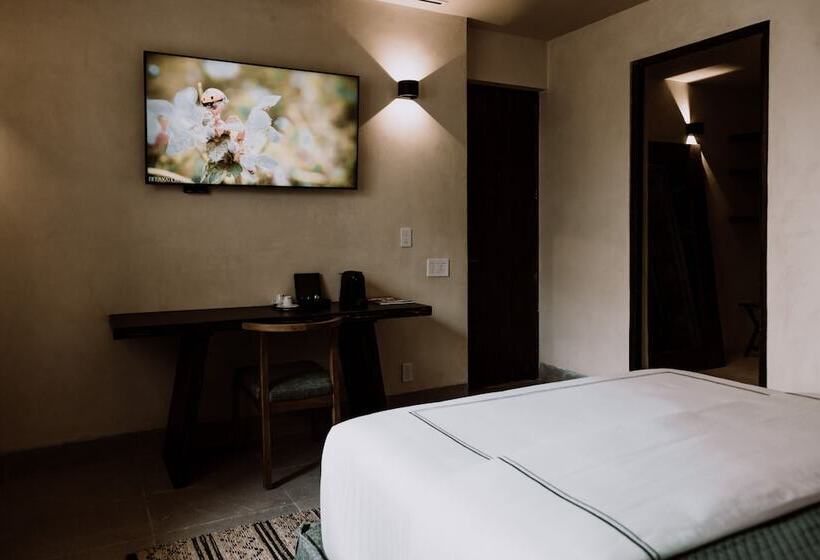 스탠다드 스튜디오, Amatte San Miguel De Allende