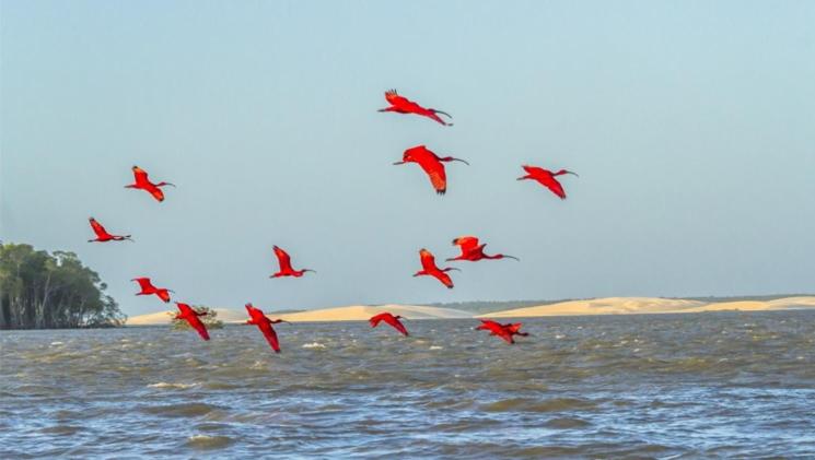 חדר דלוקס לשלושה, Aveiro