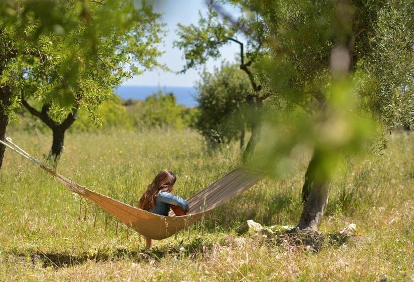 اتاق لوکس, Luccicamare Family Run Beb