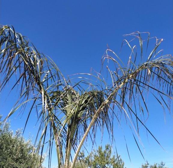 اتاق لوکس, Luccicamare Family Run Beb