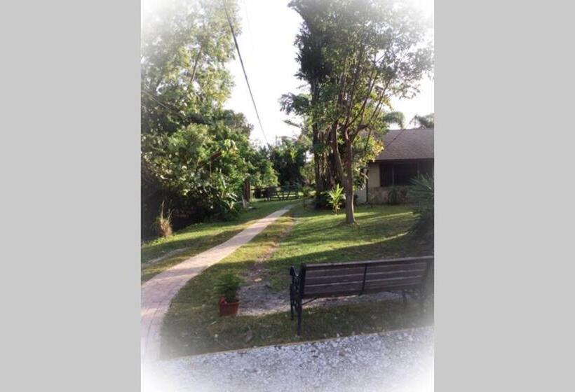 شقة غرفة واحدة, La Quiete Cove For One