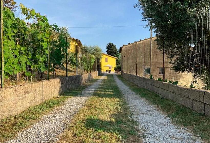 آپارتمان 1 خوابه همکف, Il Podere La Casina