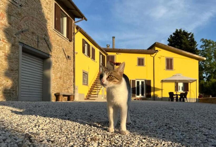 آپارتمان 1 خوابه همکف, Il Podere La Casina