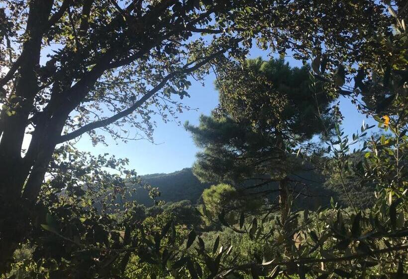 اتاق استاندارد سه نفره, Il Podere La Casina