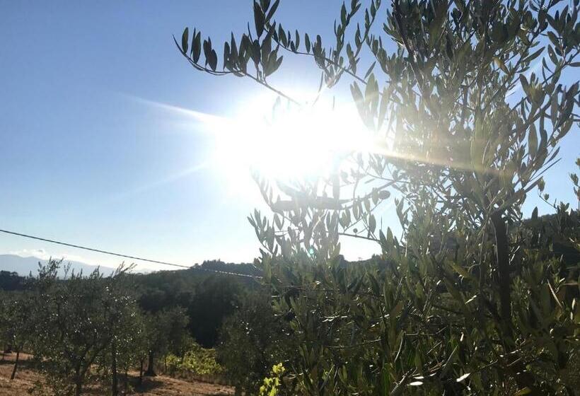 اتاق استاندارد سه نفره, Il Podere La Casina