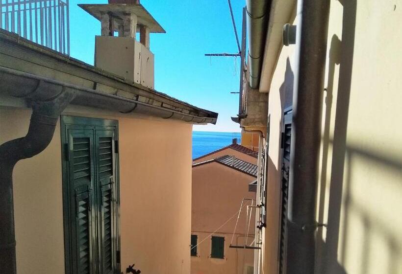 غرفة سوبيريور, Awroom