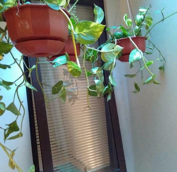 اتاق لوکس یک تخته, The Magnoliarie Guesthouse