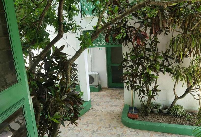 إستوديو قياسى, Terraza Del Caribe