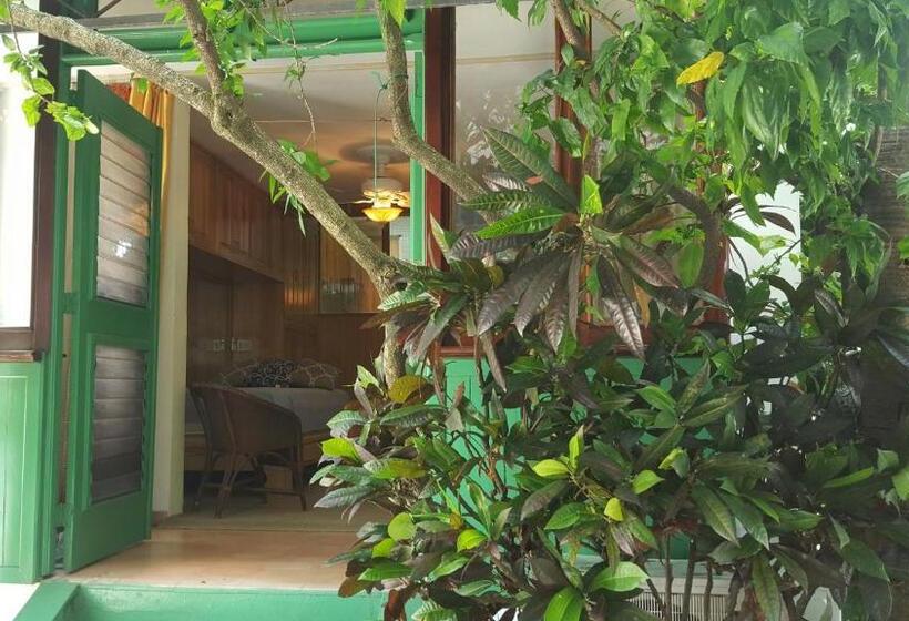 إستوديو قياسى, Terraza Del Caribe