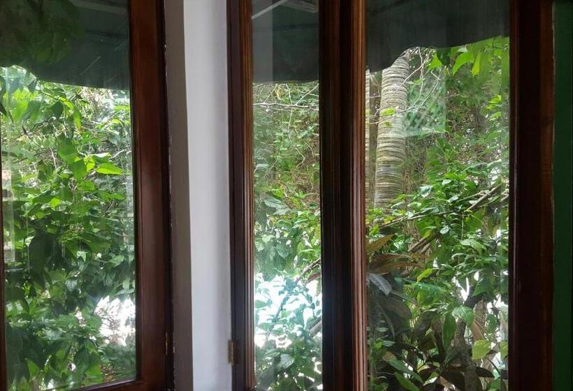 Escritório Estándar, Terraza Del Caribe