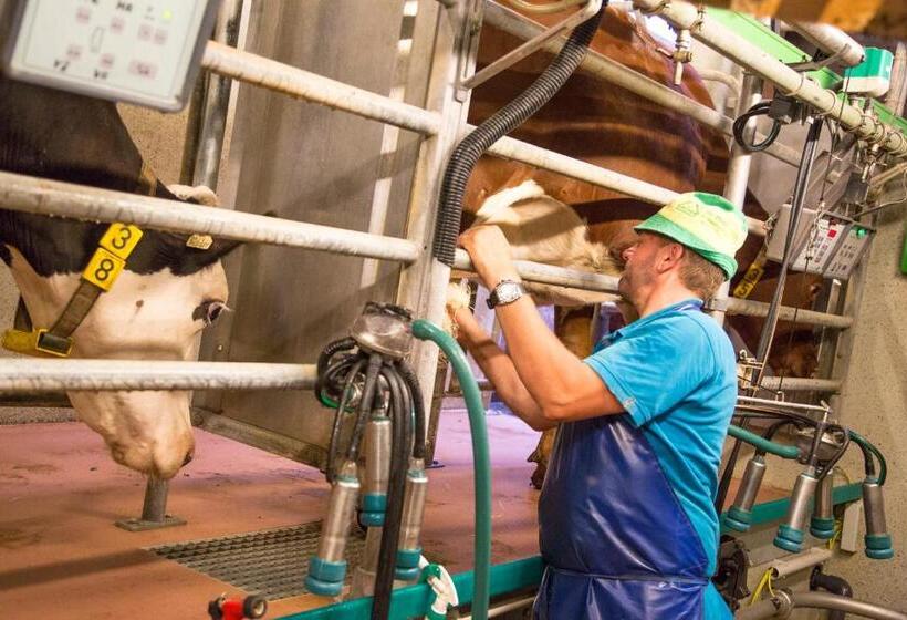 آپارتمان 1 خوابه با چشمانداز باغ, Bauernhof Vorderklinglhub