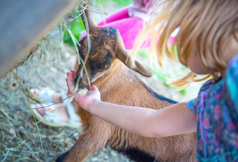آپارتمان 1 خوابه با چشمانداز باغ, Bauernhof Vorderklinglhub