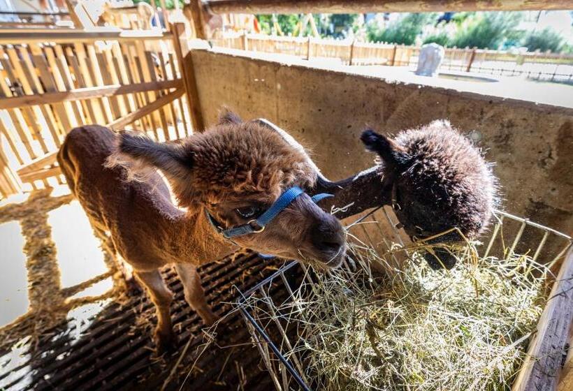 آپارتمان 1 خوابه با بالکن, Bauernhof Vorderklinglhub