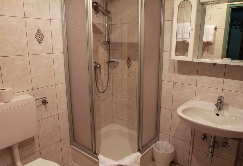 Номер Стандарт Индивидуальный, Alpenhaus Evianquelle