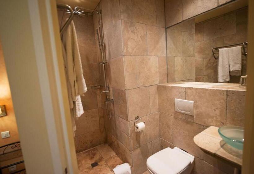 Студия Стандарт, Altera Roma