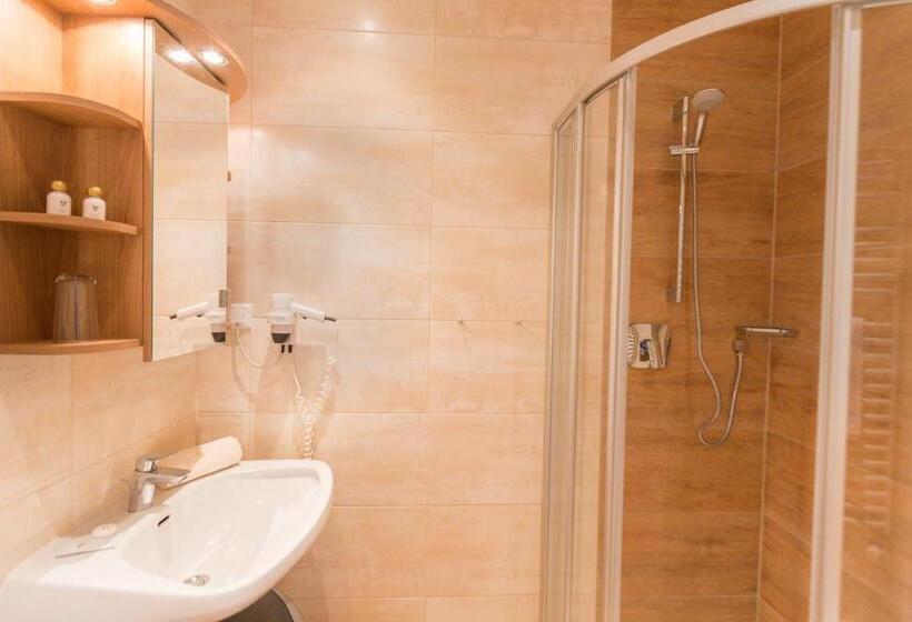 スタンダードシングルルーム, Appartement  Und Wellnesshotel Charlotte   3 Sterne Superior