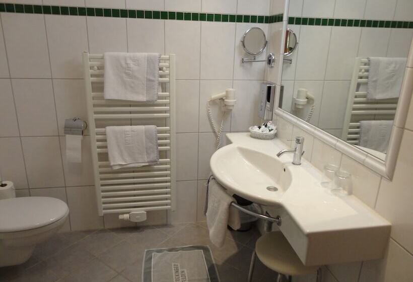 غرفة بيزنس, Business Hotel Stockinger