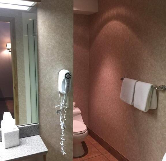 חדר דחוקס עם מיטת קינג, Fairmont Hot Springs Resort