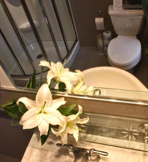 Номер Стандарт, Abri Du Voyageur