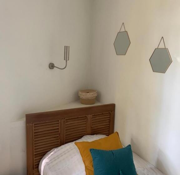 标准单人间, Alexandra Boutique