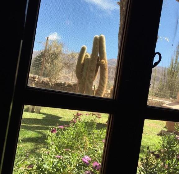 Standardzimmer, Rincón De Fuego