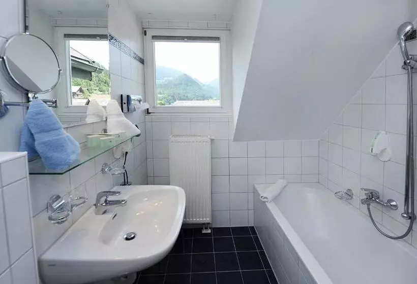 Camera Standard, Krone