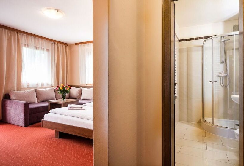 Номер Стандарт Трехместный, Post Fusch