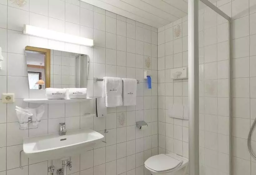 Habitació Estàndard, Sonnblick