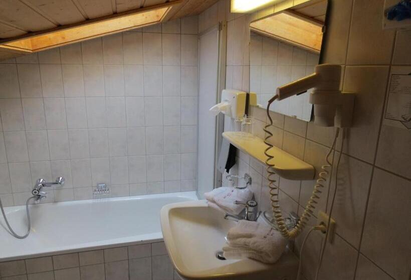 이코노미 룸, Sonnblick