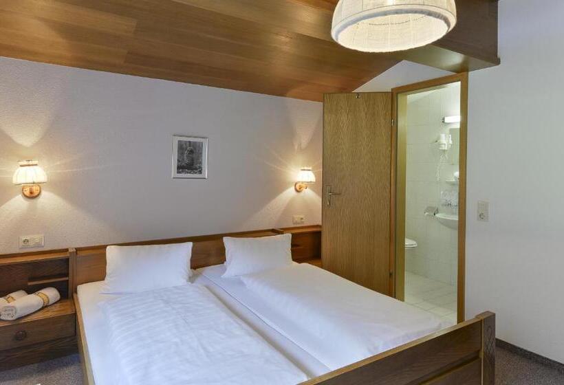 이코노미 룸, Sonnblick