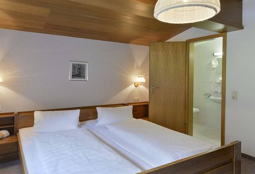 이코노미 룸, Sonnblick