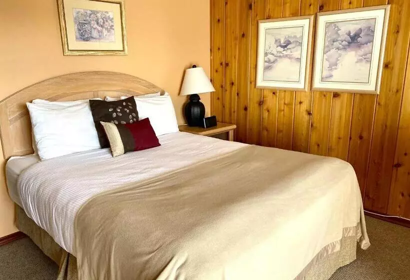 اتاق استاندارد, Motel Bo