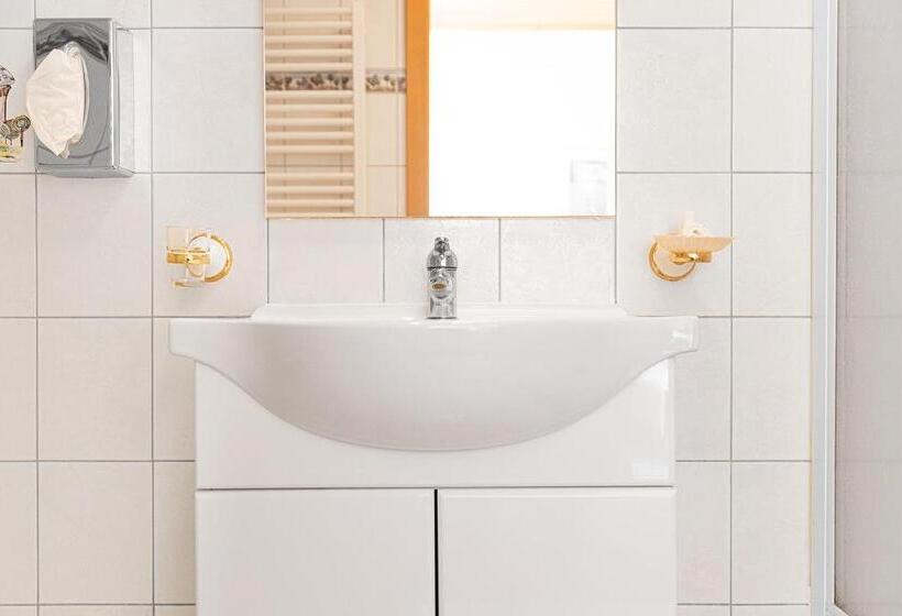 اتاق استاندارد یک نفره, Pension Wild