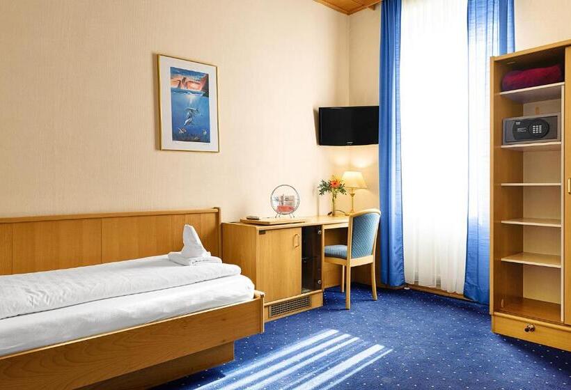 اتاق استاندارد یک نفره, Pension Wild