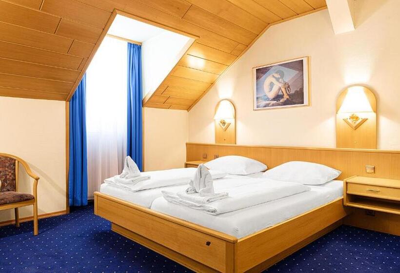 اتاق استاندارد, Pension Wild