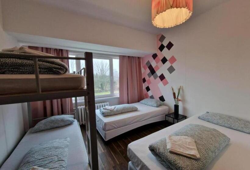 اتاق استاندارد چهار تخته, Ootel.com