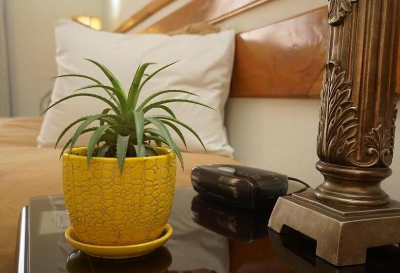 اتاق استاندارد, Casa Del Arbol