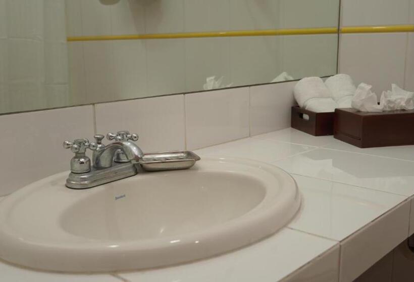 اتاق اکونومی, Casa Del Arbol