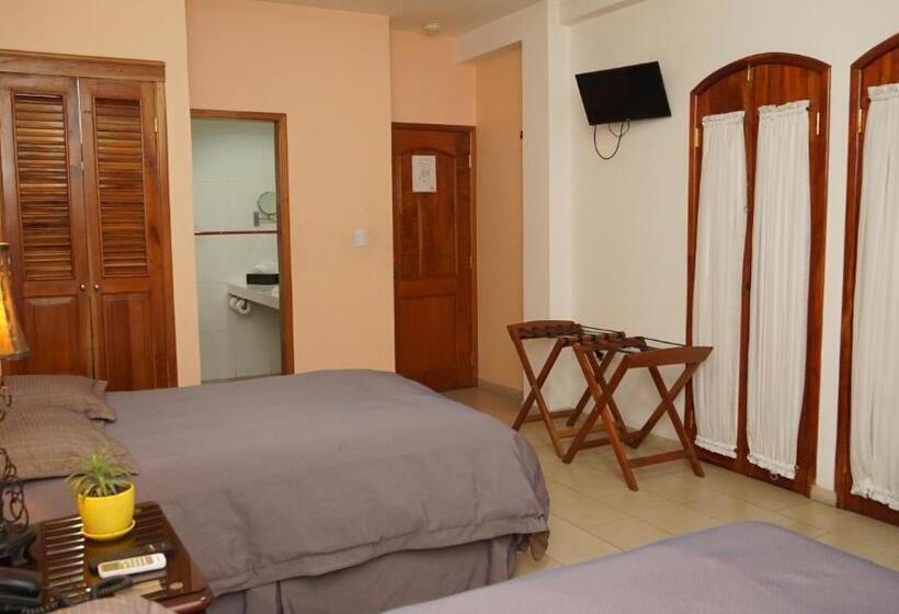 اتاق اکونومی, Casa Del Arbol