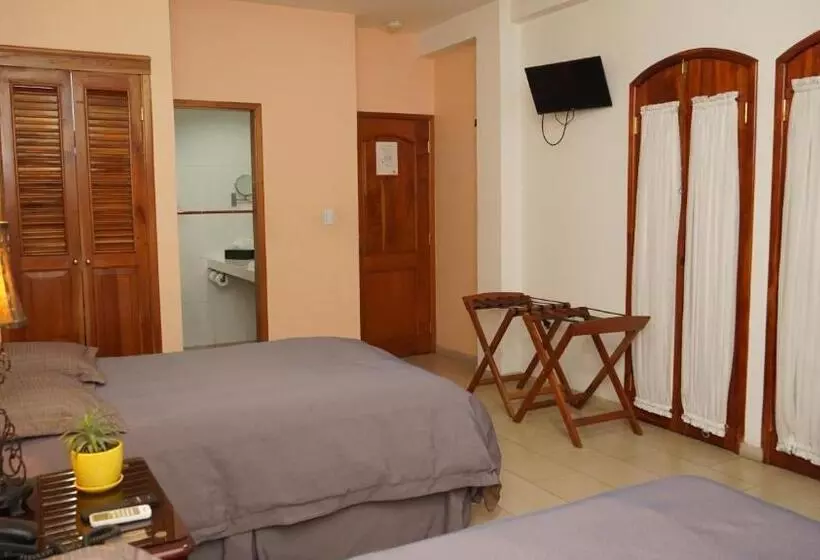 اتاق اکونومی, Casa Del Arbol