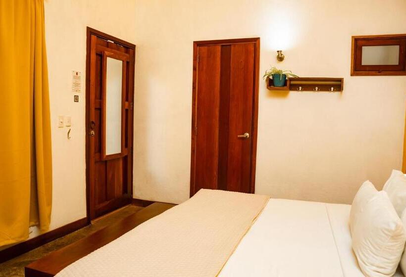 اتاق سوپریور با تخت بزرگ, Con Corazon