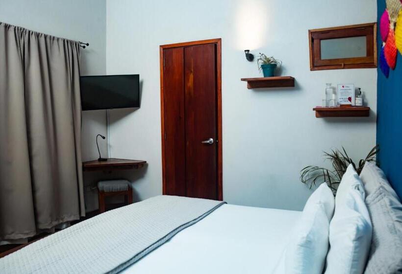 اتاق سوپریور با تخت بزرگ, Con Corazon