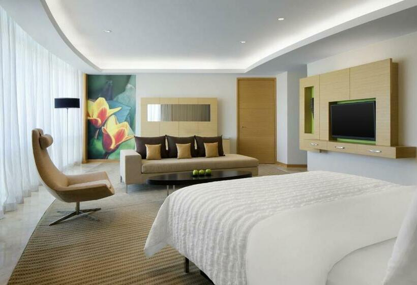 استودیوی استاندارد, Le Méridien Cairo Airport